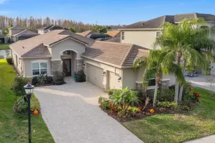 31176 Chesapeake Bay Dr, Wesley Chapel, FL 33543 - Photo 3