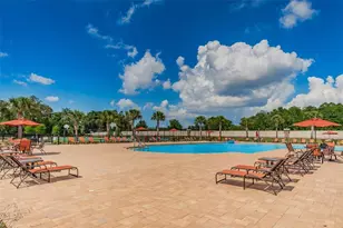 12386 Criollo Rd, Spring Hill, FL 34610 - Photo 61