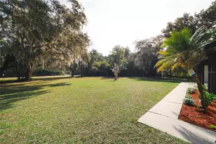 8807 Overlook Dr, Wesley Chapel, FL 33545 - Photo 19