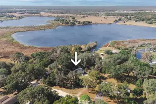 8807 Overlook Dr, Wesley Chapel, FL 33545 - Photo 35