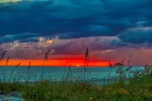 15564 Gulf Blvd, Redington Beach, FL 33708 - Photo 57