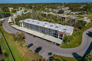 1375 Doolittle Ln, Dunedin, FL 34698 - Photo 47