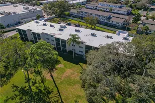 1375 Doolittle Ln, Dunedin, FL 34698 - Photo 45