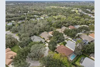 15129 Shearcrest Drive, Lithia, FL 33547 - Photo 47