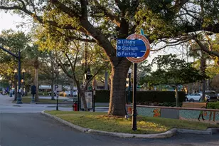 2214 Davies Ave, Dunedin, FL 34698 - Photo 73