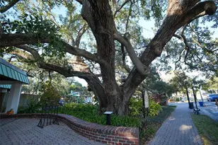 2214 Davies Ave, Dunedin, FL 34698 - Photo 65