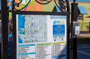 2214 Davies Ave, Dunedin, FL 34698 - Photo 67