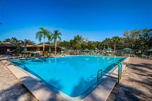 2407 Gun Flint Trail, Palm Harbor, FL 34683 - Photo 49