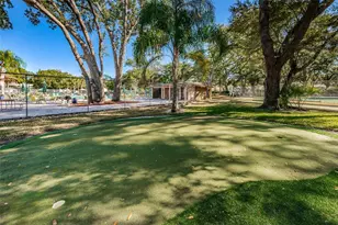 2407 Gun Flint Trail, Palm Harbor, FL 34683 - Photo 7