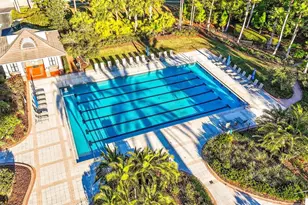 20308 Ash Grove Ln, Tampa, FL 33647 - Photo 75