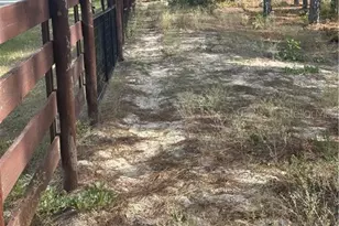 4295 N Bridger Dr, Beverly Hills, FL 34465 - Photo 75