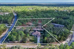 4295 N Bridger Dr, Beverly Hills, FL 34465 - Photo 57