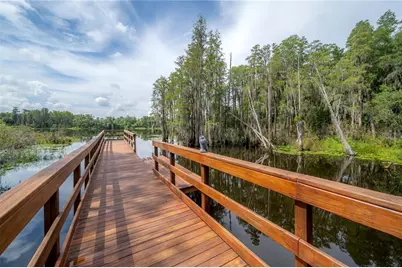 6229 Scarlet Darter Way, Tampa, FL 33625 - Photo 51