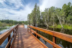 6229 Scarlet Darter Wy, Tampa, FL 33625 - Photo 51