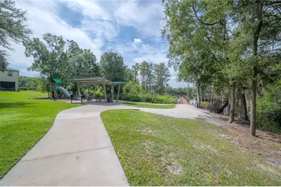 6229 Scarlet Darter Way, Tampa, FL 33625 - Photo 49