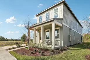 2430 Duck Hawk St, Kissimmee, FL 34746 - Photo 3