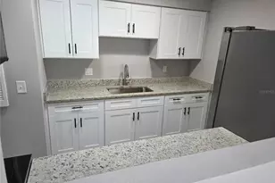 9004 Tudor Dr, Tampa, FL 33615 - Photo 9