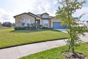 9497 Ibis Grove Blvd, Wesley Chapel, FL 33545 - Photo 5