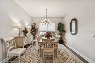 11477 Bitola Dr, Odessa, FL 33556 - Photo 21