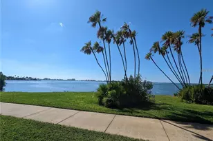 1922 Springtime Ave, Clearwater, FL 33755 - Photo 23