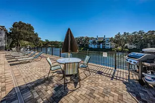 3304 Haviland Ct, Palm Harbor, FL 34684 - Photo 47