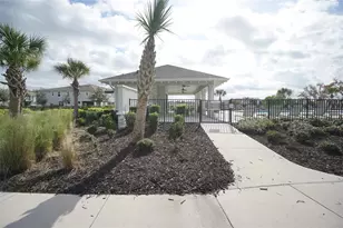 25967 Woven Wicker Bnd, Lutz, FL 33559 - Photo 25