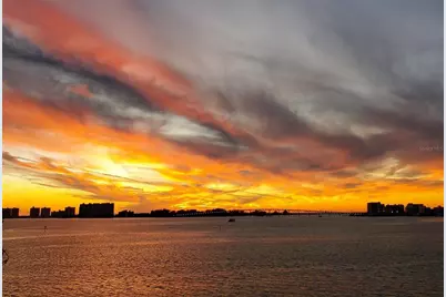 55 Rogers Street #203, Clearwater, FL 33756 - Photo 47