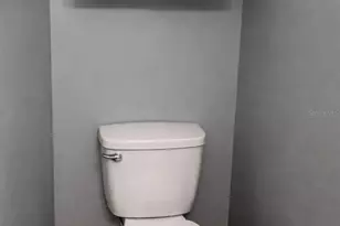 7520 Needle Leaf Pl, Tampa, FL 33617 - Photo 3