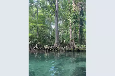 0 Waverly Road, Weeki Wachee, FL 34607 - Photo 5