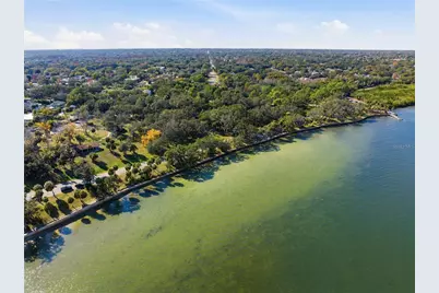 2454 Madrid Avenue, Safety Harbor, FL 34695 - Photo 63