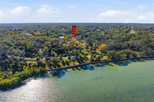 2454 Madrid Ave, Safety Harbor, FL 34695 - Photo 61