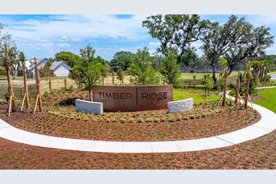 3714 Pine Peak Loop, Plant City, FL 33565 - Photo 21