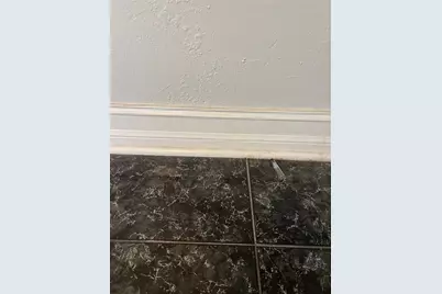 6405 S Manhattan Avenue, Tampa, FL 33616 - Photo 13