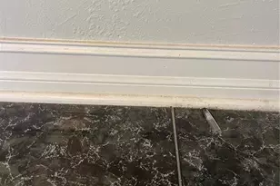 6405 S Manhattan Ave, Tampa, FL 33616 - Photo 13