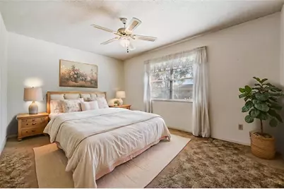 7343 Andre Drive, Zephyrhills, FL 33541 - Photo 19