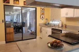 723 Elkhorn Rd, Sun City Center, FL 33573 - Photo 11