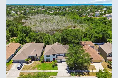 1828 Longview Lane, Tarpon Springs, FL 34689 - Photo 3