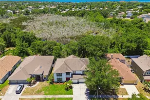 1828 Longview Ln, Tarpon Springs, FL 34689 - Photo 3