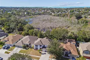 1828 Longview Ln, Tarpon Springs, FL 34689 - Photo 75