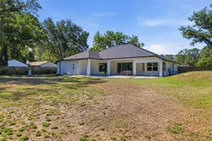 28233 Sonny Dr, Wesley Chapel, FL 33544 - Photo 45