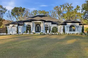 28233 Sonny Dr, Wesley Chapel, FL 33544 - Photo 1