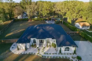 28233 Sonny Dr, Wesley Chapel, FL 33544 - Photo 67