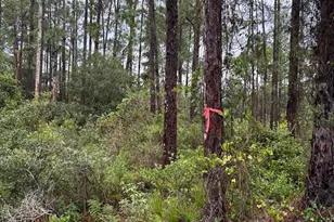 216 Bougainville Dr, Indian Lake Estates, FL 33855 - Photo 1