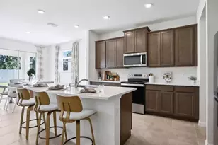 2336 Sienna Spruce St, Wesley Chapel, FL 33543 - Photo 5