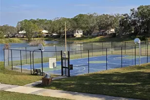 14731 Pine Glen Cir, Lutz, FL 33559 - Photo 33