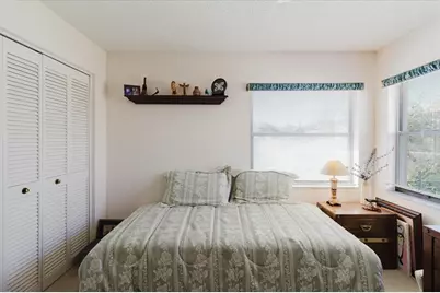 802 Centerwood Drive, Tarpon Springs, FL 34688 - Photo 49