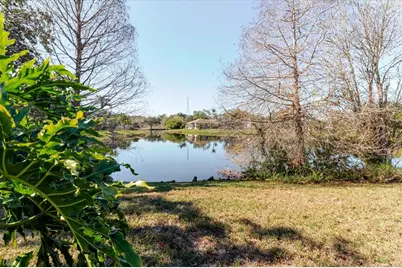 802 Centerwood Drive, Tarpon Springs, FL 34688 - Photo 71