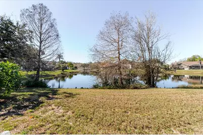 802 Centerwood Drive, Tarpon Springs, FL 34688 - Photo 69