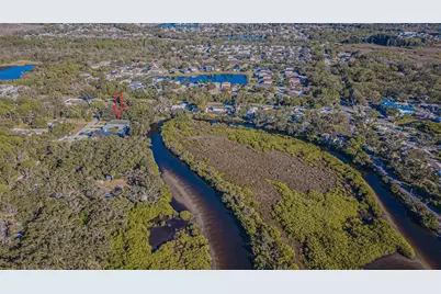 12508 Glenna Avenue, Tampa, FL 33635 - Photo 11