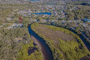 12508 Glenna Ave, Tampa, FL 33635 - Photo 11